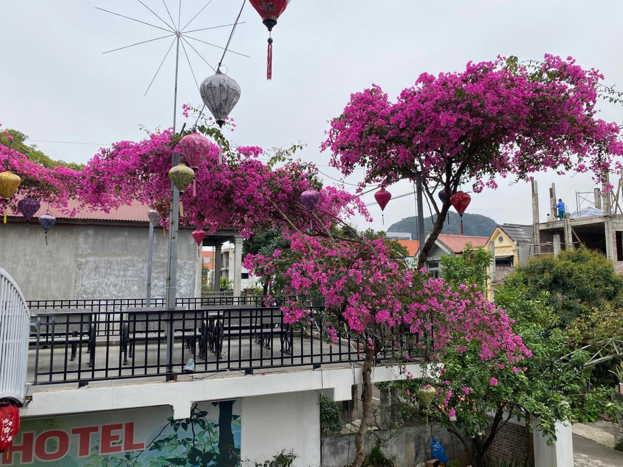 Elizabeth Hotel Tam Coc Ninh Binh Bagian luar foto